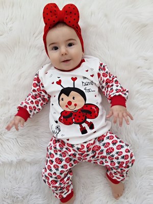 Uğur böceği 2li takım 