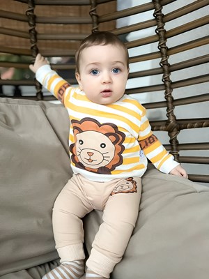 Lion 2li takım 